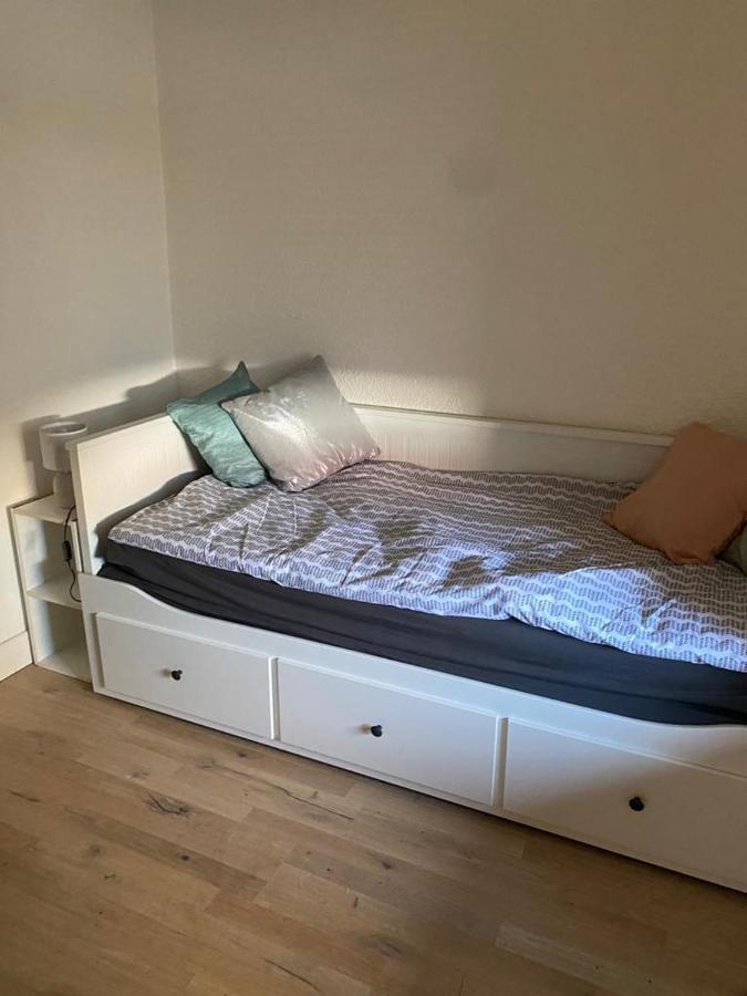 Studio Cosy Sur Mulhouse Centreアパートメント エクステリア 写真
