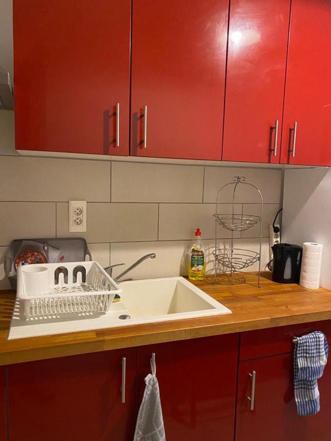 Studio Cosy Sur Mulhouse Centreアパートメント エクステリア 写真
